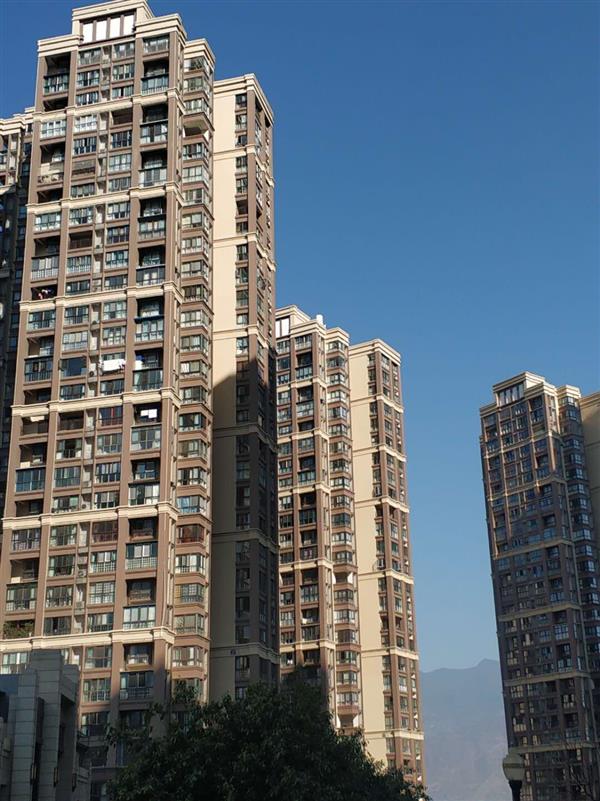 金域阳光